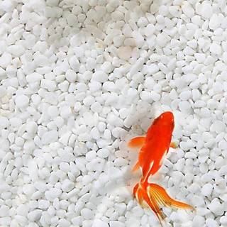 Realistic iPhone wallpaper