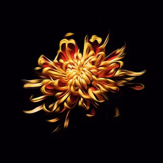 Realistic iPhone wallpaper