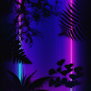iPhone 14 neon wallpaper
