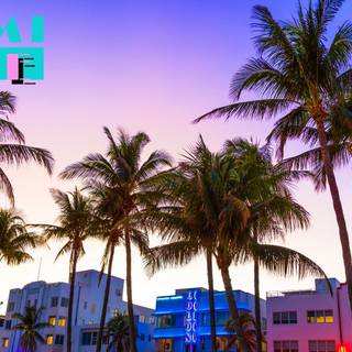 Miami Vice 1980s TV Show wallpaper