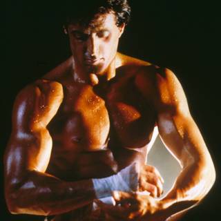 Rocky Creed wallpaper