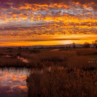 Ultra wide screen wallpaper