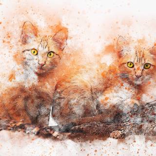 Abstract cat wallpaper