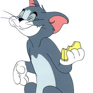 Mobile Tom and Jerry wallpaper