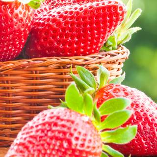 Strawberry 4k iPhone wallpaper