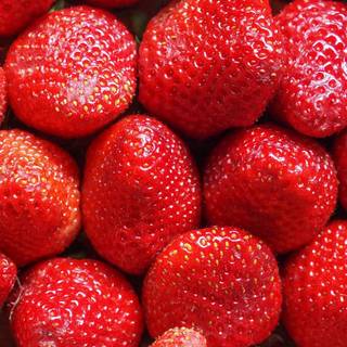 Strawberry 4k iPhone wallpaper