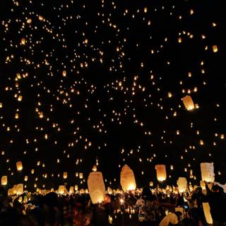 Tangled lanterns wallpaper