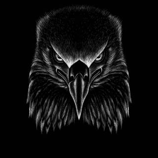 Eagle black and white wallpaper