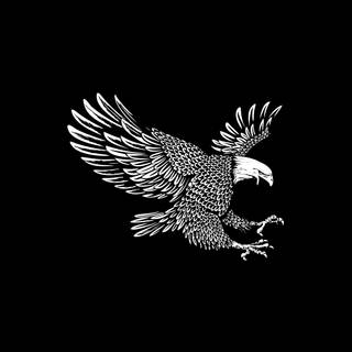 Eagle black and white wallpaper