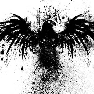 Eagle black and white wallpaper