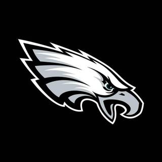 Eagle black and white wallpaper