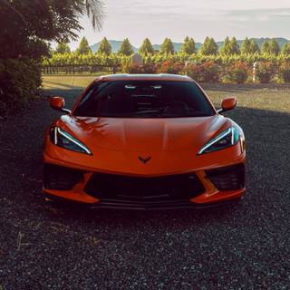 Chevrolet Corvette C8 wallpaper