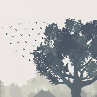 Mobile minimalist 4k wallpaper