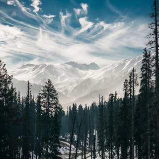 Mountain forest 4k wallpaper