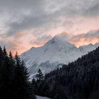 Mountain forest 4k wallpaper