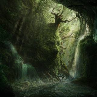 Dark tree 4k wallpaper