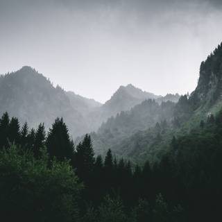 Mountain forest 4k wallpaper