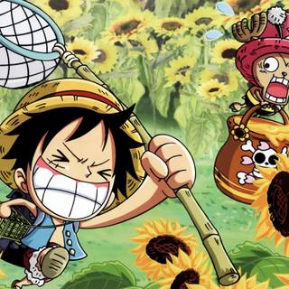 One Piece 4k HD PC wallpaper
