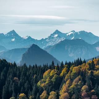 Mountain forest 4k wallpaper