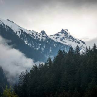 Mountain forest 4k wallpaper