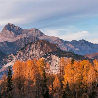 Mountain forest 4k wallpaper