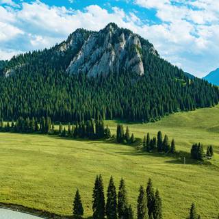 Mountain forest 4k wallpaper