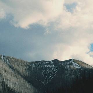 Mountain forest 4k wallpaper