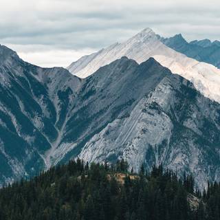 Mountain forest 4k wallpaper