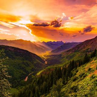 Mountain forest 4k wallpaper