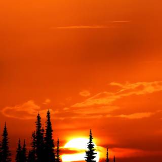 4k iPhone orange wallpaper