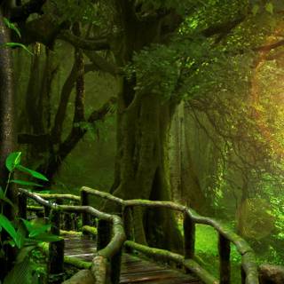 Phone jungle wallpaper