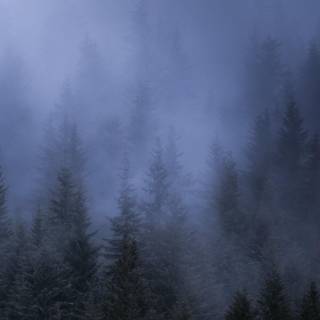 Mist iPhone wallpaper