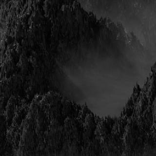 Mist iPhone wallpaper