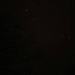 Amoled black phone wallpaper