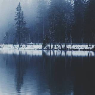 Mist iPhone wallpaper