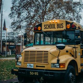 Bus iPhone wallpaper