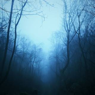 Mist iPhone wallpaper