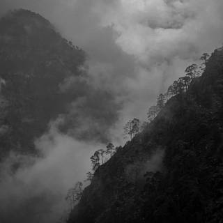 Mist iPhone wallpaper