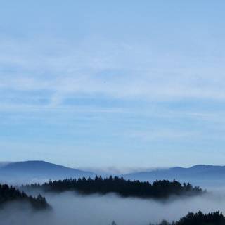 Mist iPhone wallpaper