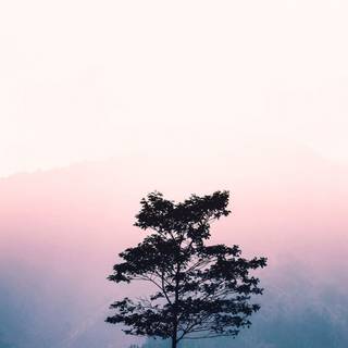 Mist iPhone wallpaper