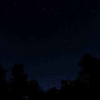 Amoled black phone wallpaper