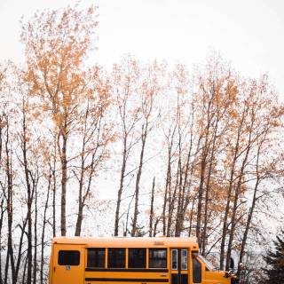 Bus iPhone wallpaper