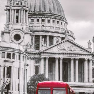 Bus iPhone wallpaper