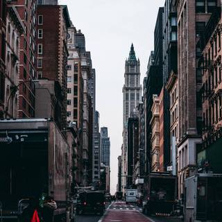 Bus iPhone wallpaper