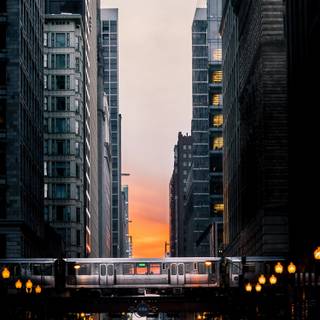 Bus iPhone wallpaper