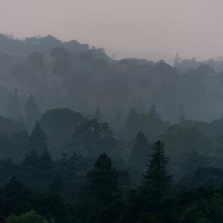 Mist iPhone wallpaper