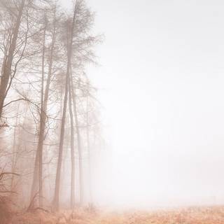 Mist iPhone wallpaper