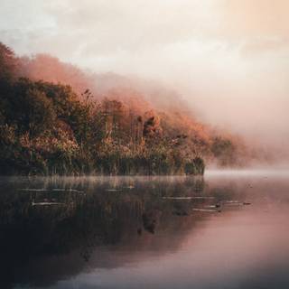 Mist iPhone wallpaper