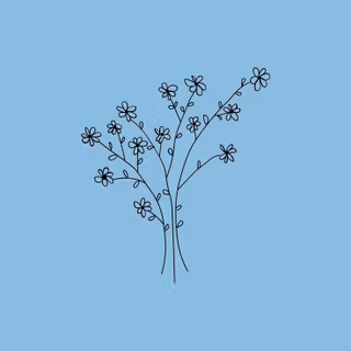 Phone soft wallpaper