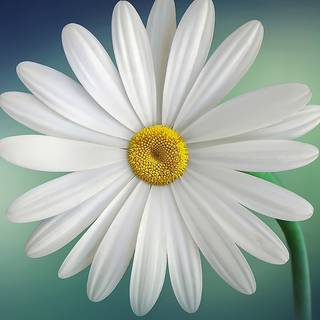 Blue green iPhone wallpaper